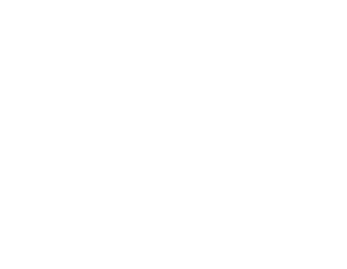 LTX Labs Logo